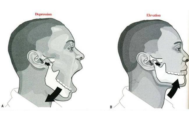 有趣的王老太,有趣的王老太太