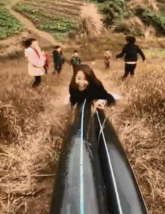 在野外发现甘蔗,在山里发现甘蔗