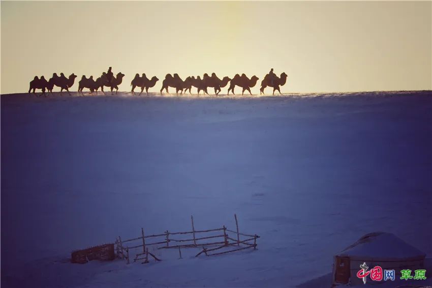 一起去看美丽的坝上草原,秋季坝上草原游记