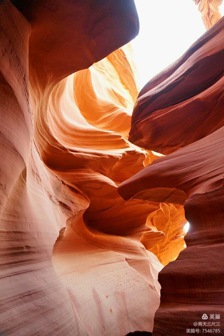 鍖楃編鏋儏闃虫柊,鍖楃編鏋儏鍥剧墖