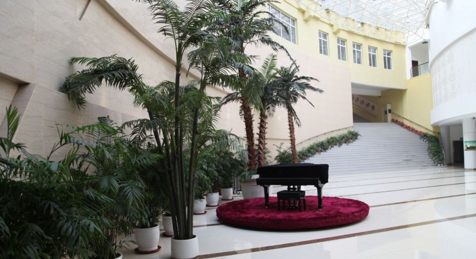 2019高中全景图,航拍二中青春