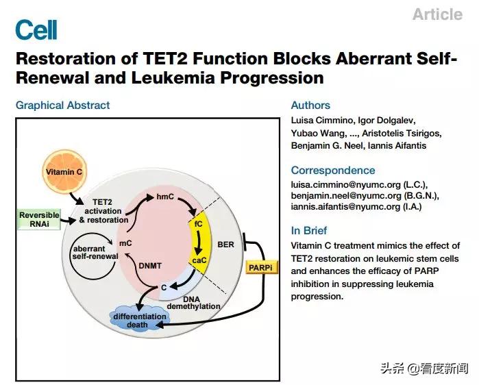 维生素C治疗新冠肺炎有用吗?日常补充维C该怎么补?