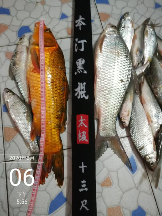 本汀太极黑棍7.2,本汀太极黑棍测试