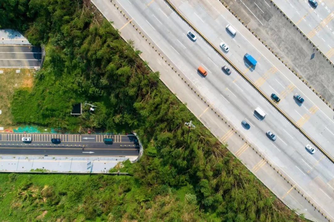 你好,我叫龙岗!欢迎你回来