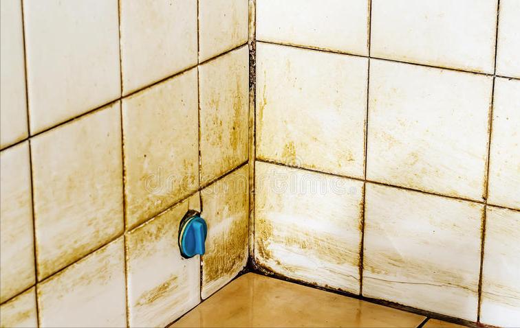 马桶底座发霉,马桶胶发霉怎么清理小妙招