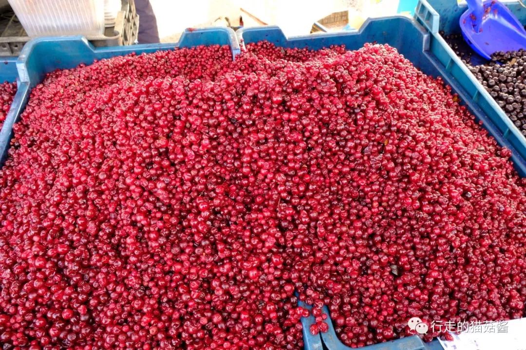 俄罗斯海参崴高端团自由行,俄罗斯海参崴吃喝攻略