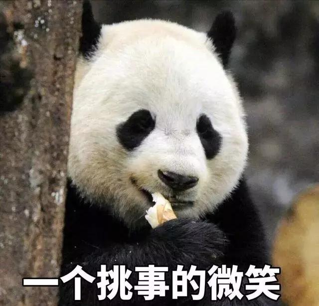 男朋友又胖又丑是一种怎样的体验,男朋友又丑又胖但是对我好