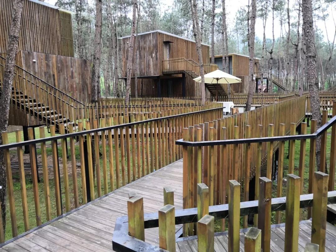 楠溪民宿真赞！推荐一批楠溪江畔精品民宿，你住过吗？（一）