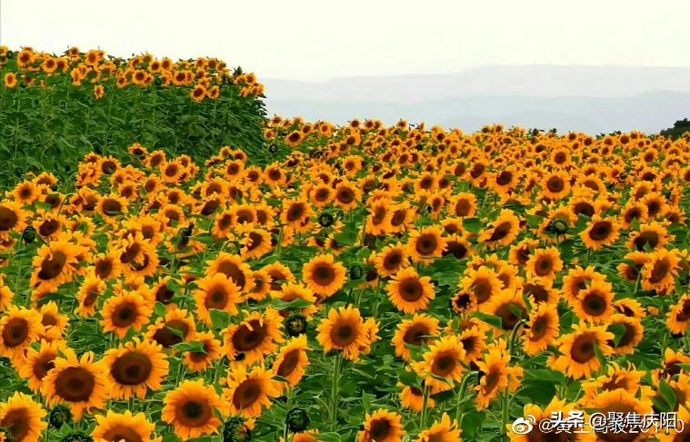 各位旅客前方到站福州站介绍,旅客们前方到达南通站