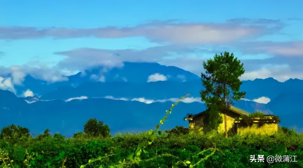 社会满意度考评,社会公众满意度测评宣传图片