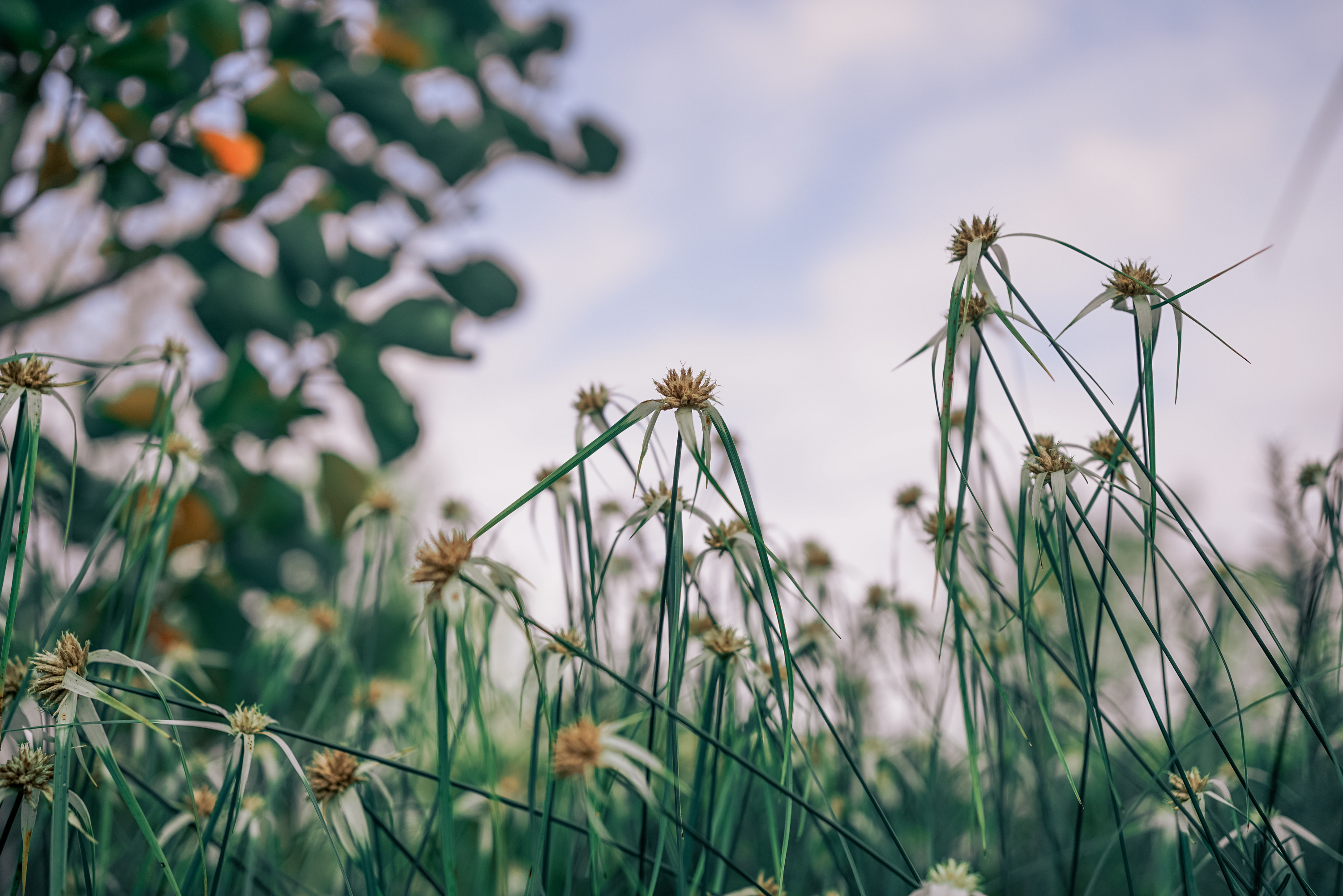 韩国旅游浪漫之行,韩国旅途中的邂逅