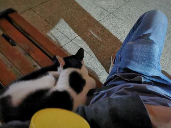 铜陵铜冠花园最新成交价,铜冠花园刚开盘多少钱