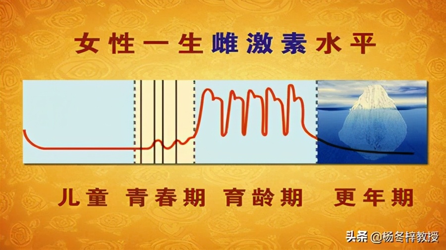 雌激素低补充雌激素会长胖吗,雌激素偏低怎么补充雌激素