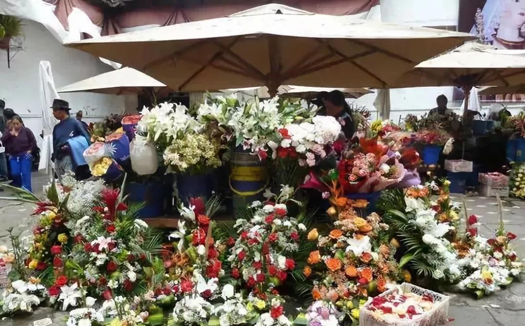 世界花卉交易市场排行榜前十名,世界上最稀有的花卉市场