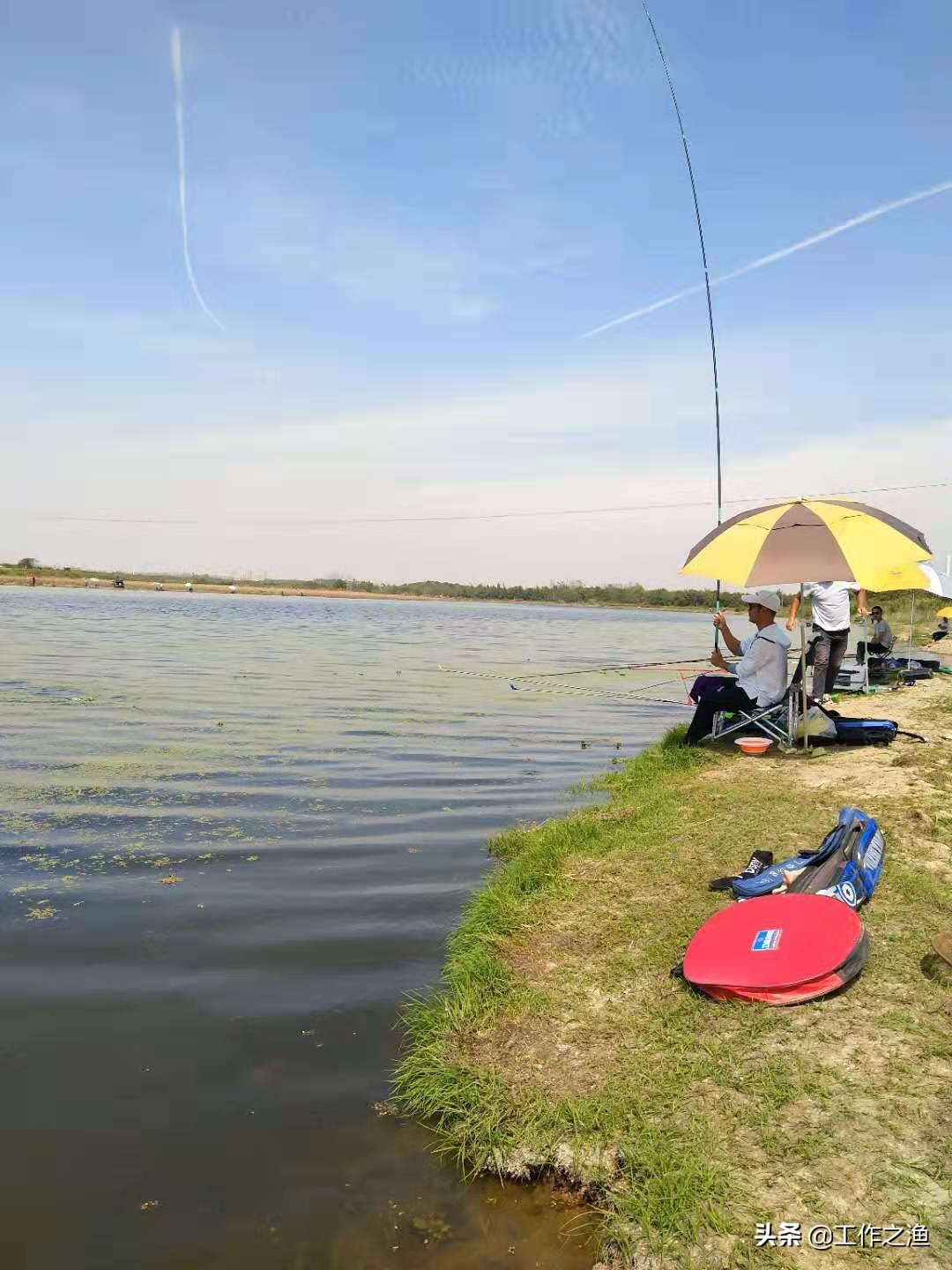 再战红水河盘翘嘴,再战芦苇荡钓法