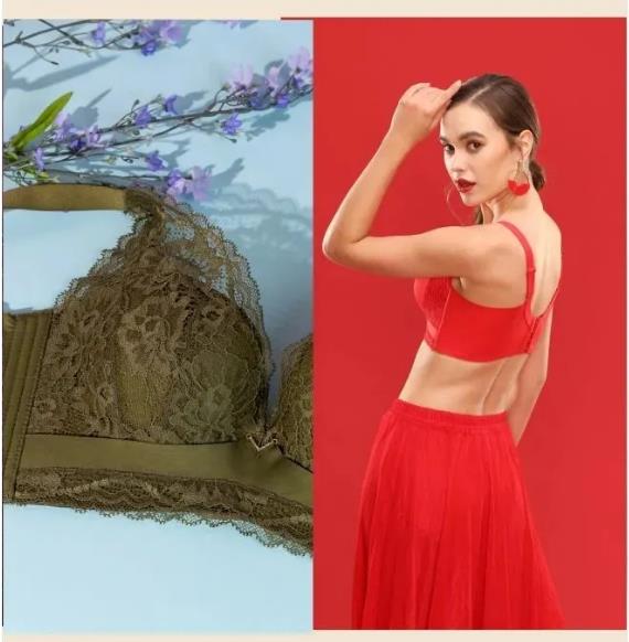 蝴蝶堂｜多彩多姿：沙漠之花，诉说沙漠的奇妙意境，优雅且灵动