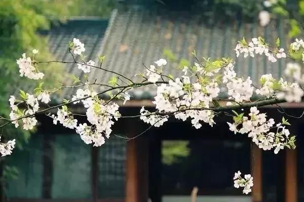 表达自由洒脱励志的古诗词,意境绝美的励志古诗词大全