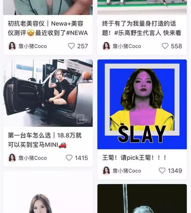 鑼冨啺鍐扮帇鑿婂皬绾功 (鑼冨啺鍐板拰鐜嬭強鍚堜綔)