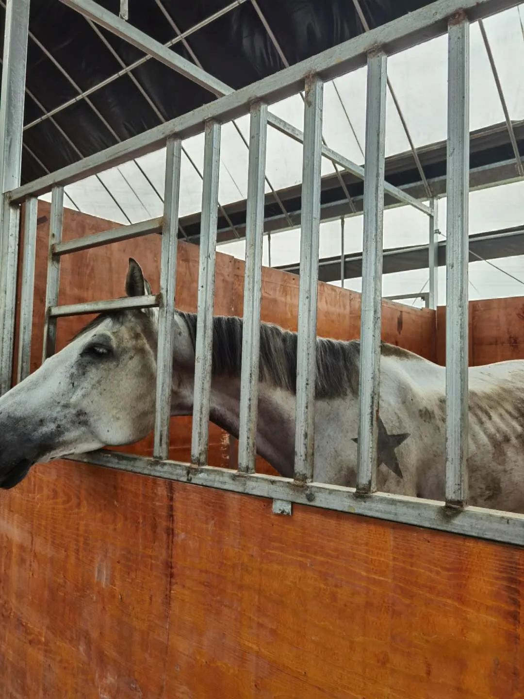 未来的杭州西湖,浙江杭州新西湖