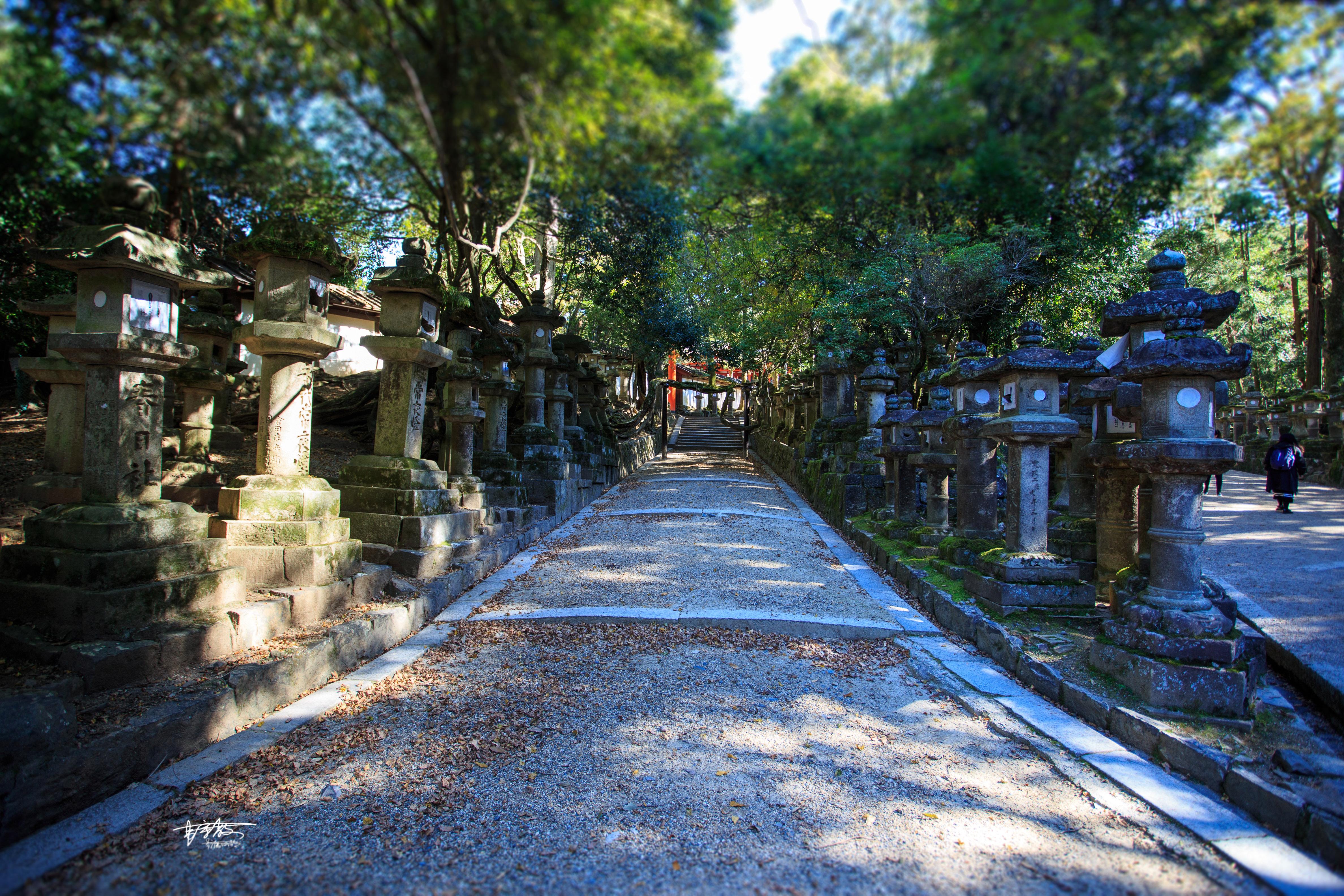 网红打卡景点奈良,日本奈良10大网红打卡景点