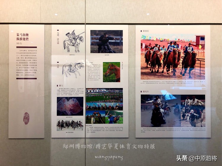 古代的体育运动你知道多少？郑州博物馆看华夏体育*物文**特展