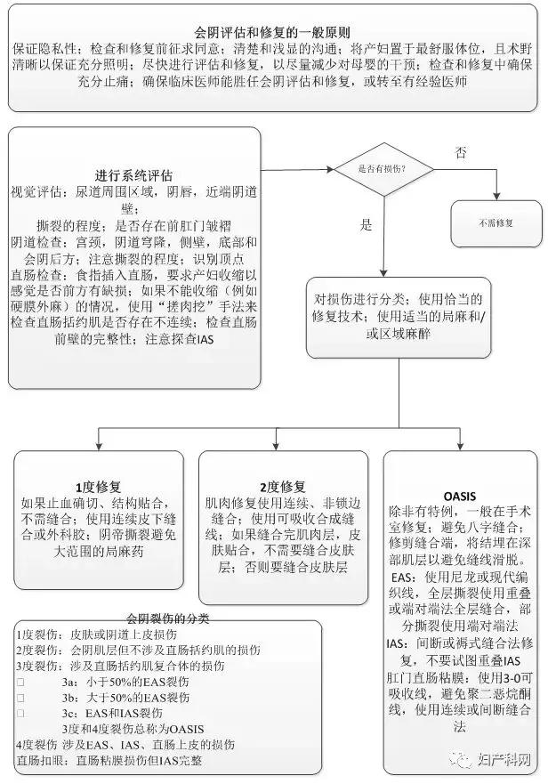 指南速递｜昆士兰指南：会阴护理（上）