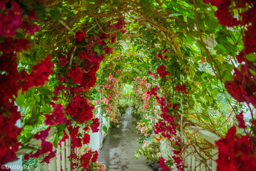 看城市变化蝶变融城,工业城市转型旅游城市