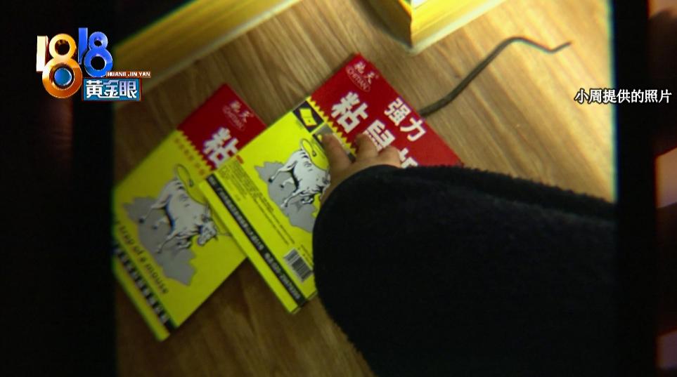 鍑虹灞嬩笌鑰侀紶鏂楁櫤鏂楀媷,濂崇敓瀵濆涓婃紨浜洪紶澶ф垬