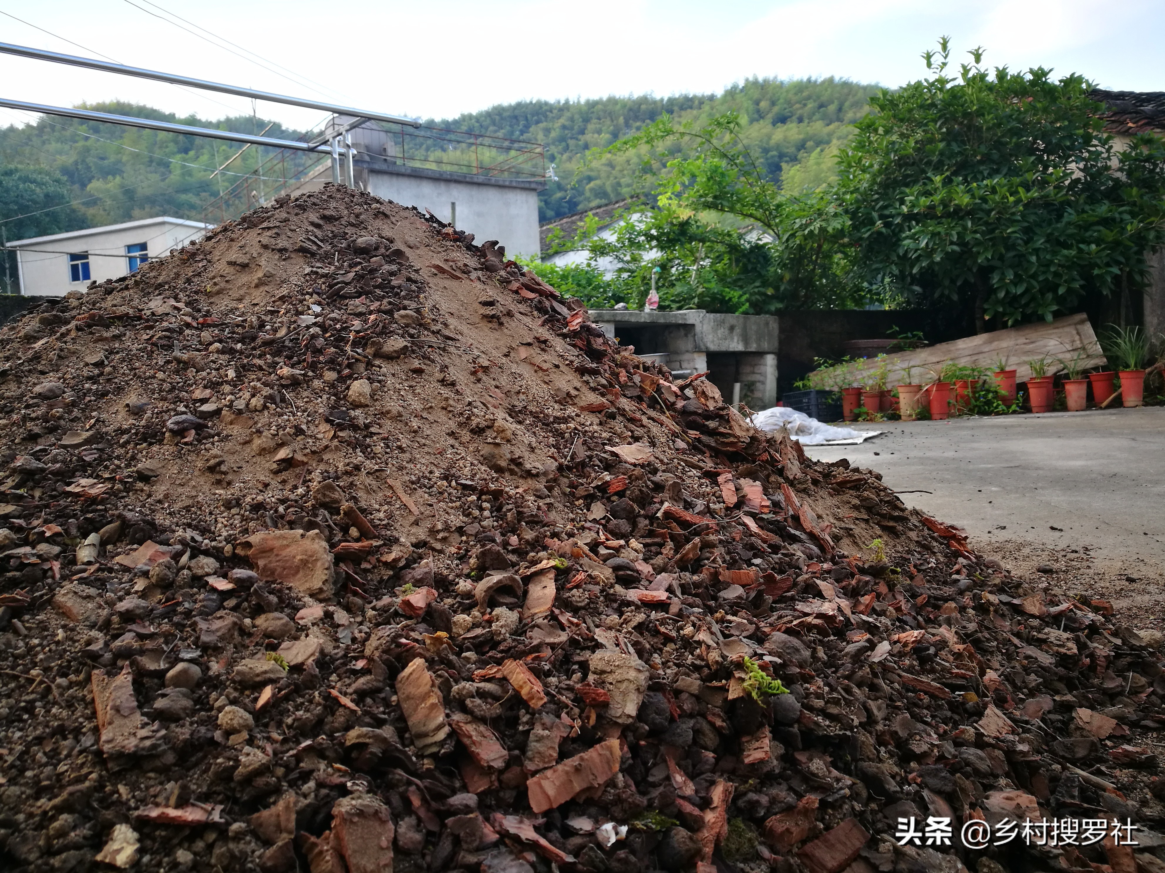 兰花户外养叶子偏黄,懒人养花一个月不浇水