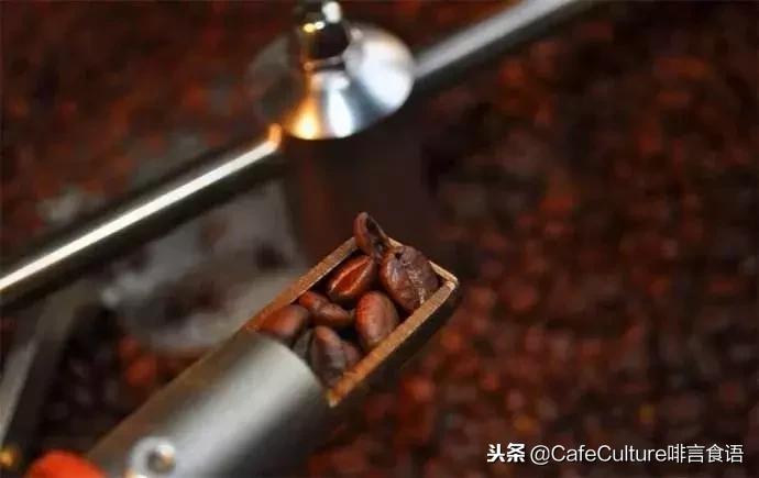 新手入坑咖啡,咖啡新手入坑推荐