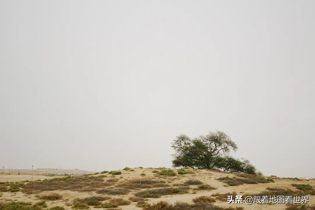 中东小国巴林,巴林波斯湾后花园