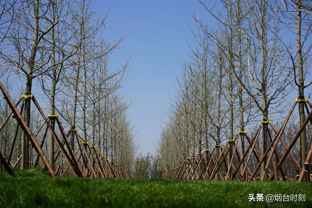 兰州民生工程最新进展,重点民生项目进展清单