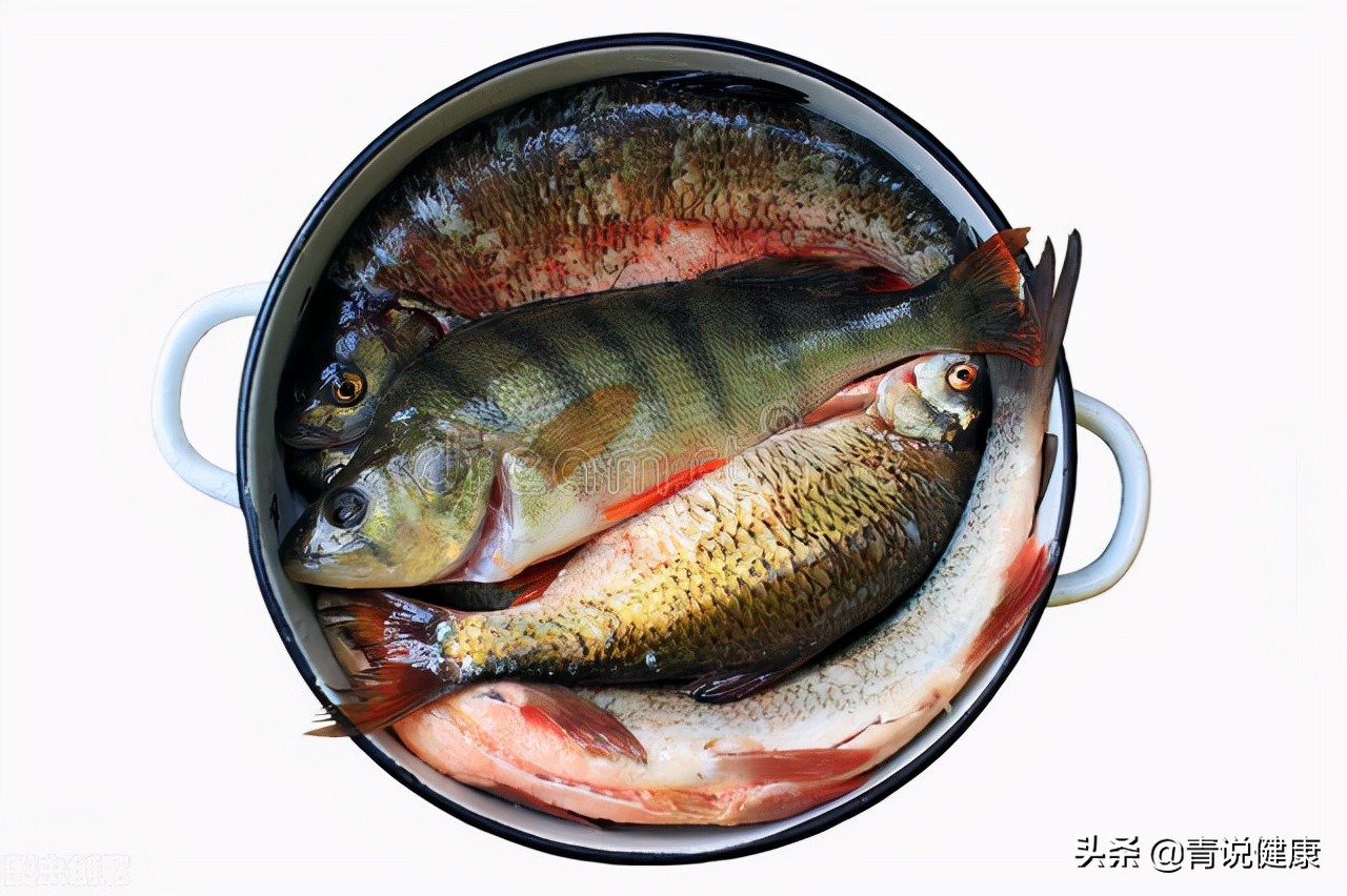 总是反复感冒吃什么药提高免疫力,抵抗力差老是感冒怎么提高免疫力