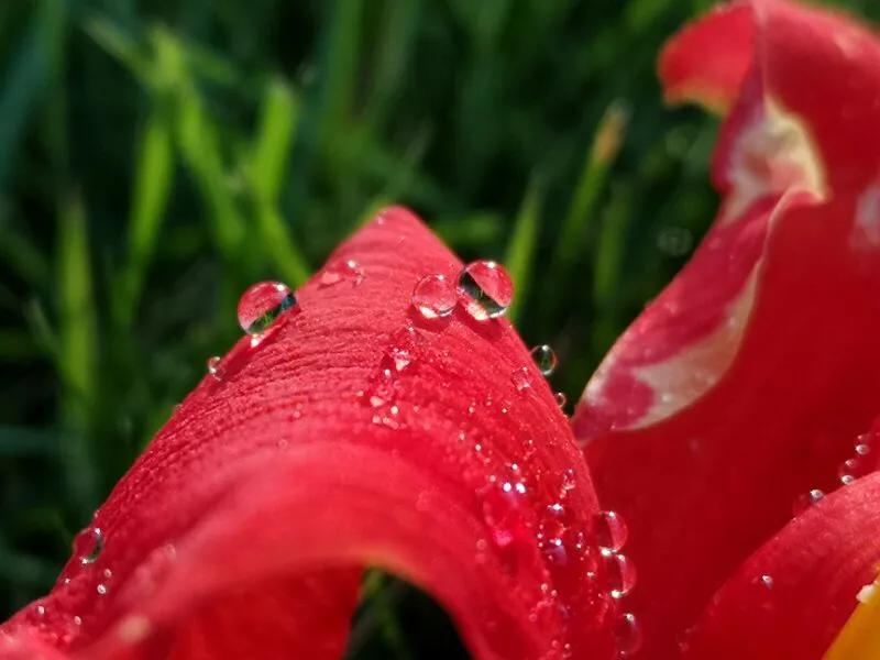 手拍世界微信公众号,手拍世界完整版视频