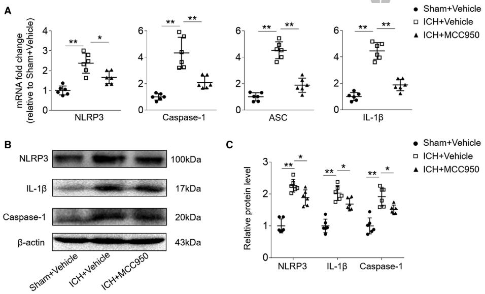 nlrp3抑制剂研究进展,nlrp3抑制剂临床
