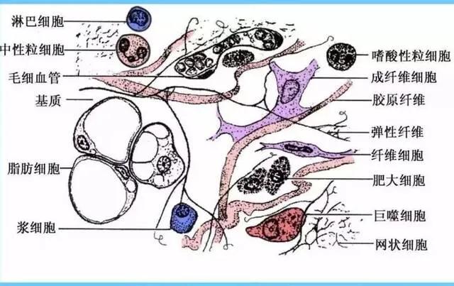 腰腿痛的埋针治疗全过程,埋药疗法治腰疼