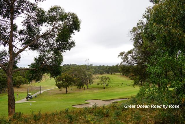 澳洲的大洋路风景,大洋路澳洲