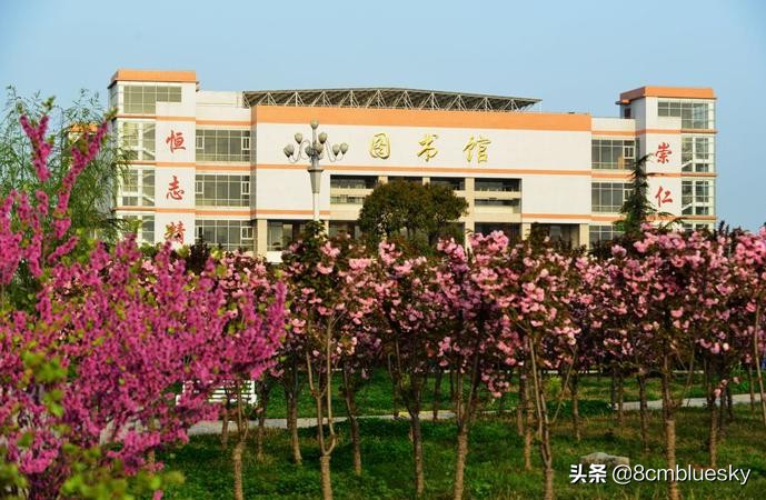 河南南阳高校,南阳市的本科院校