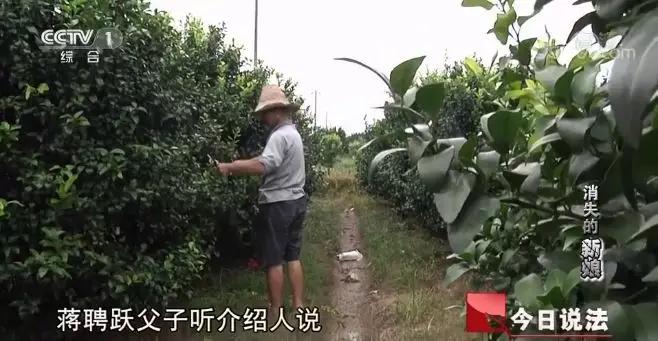 广西多名新娘失踪真相,广西女子离奇失踪案