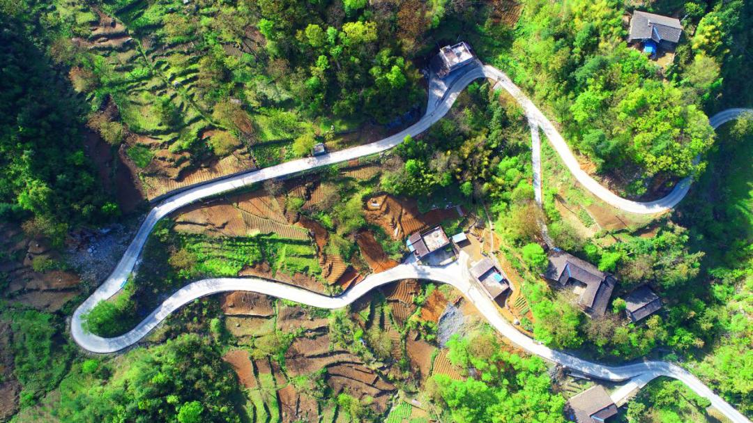 最美的人间四月天演唱视频,最美的人间四月天如约而至