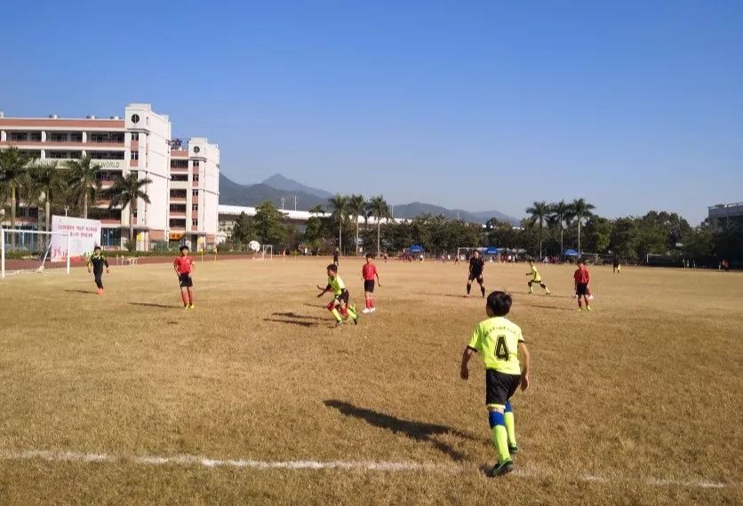肇庆市长杯足球赛男小学组谁第一,肇庆市全国青少年校园足球大赛