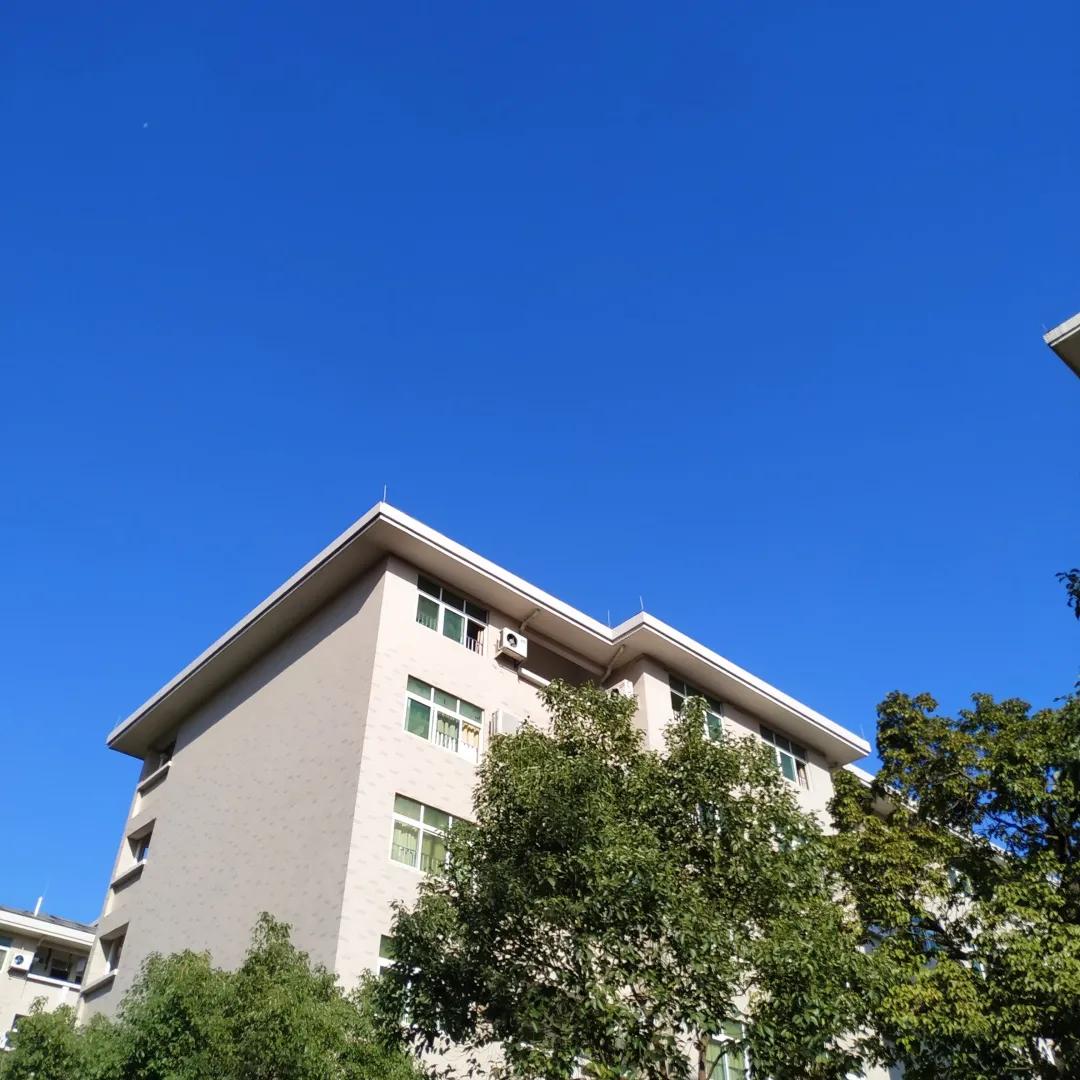 东莞市虎门外语学校中考喜报,东莞虎门外语学校2023高考喜报