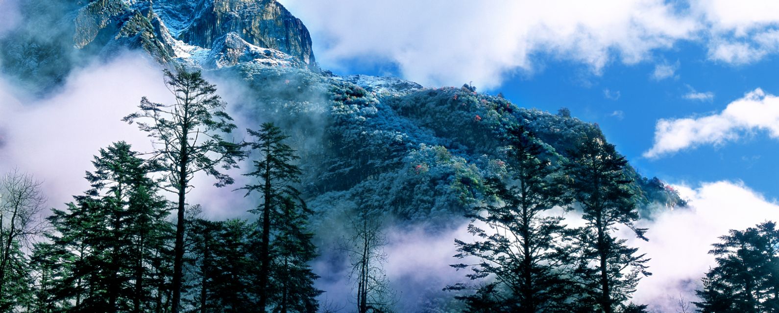 四川海螺沟景区六绝，这个夏天给你好看