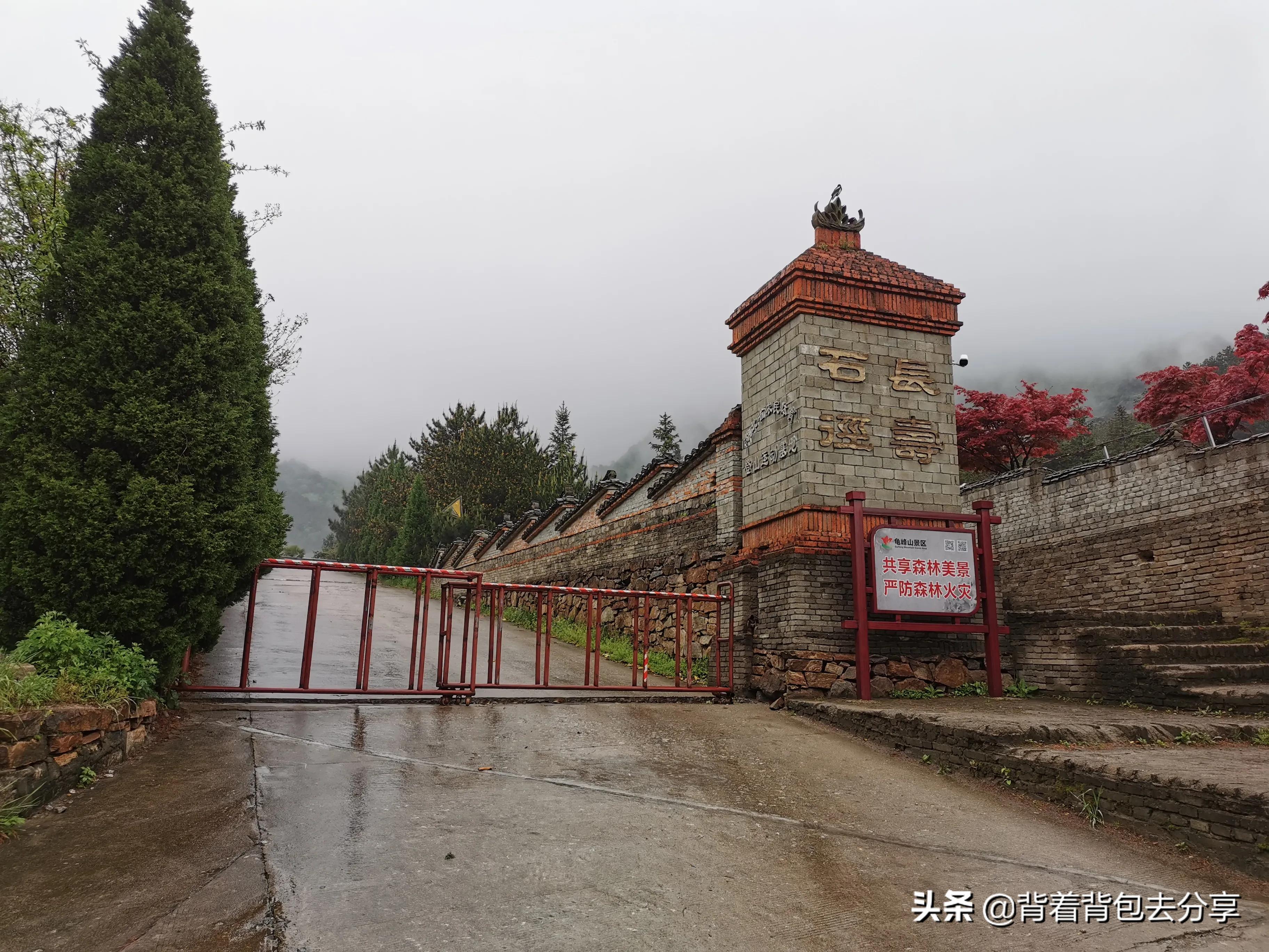 麻城看杜鹃花攻略,去麻城看杜鹃攻略