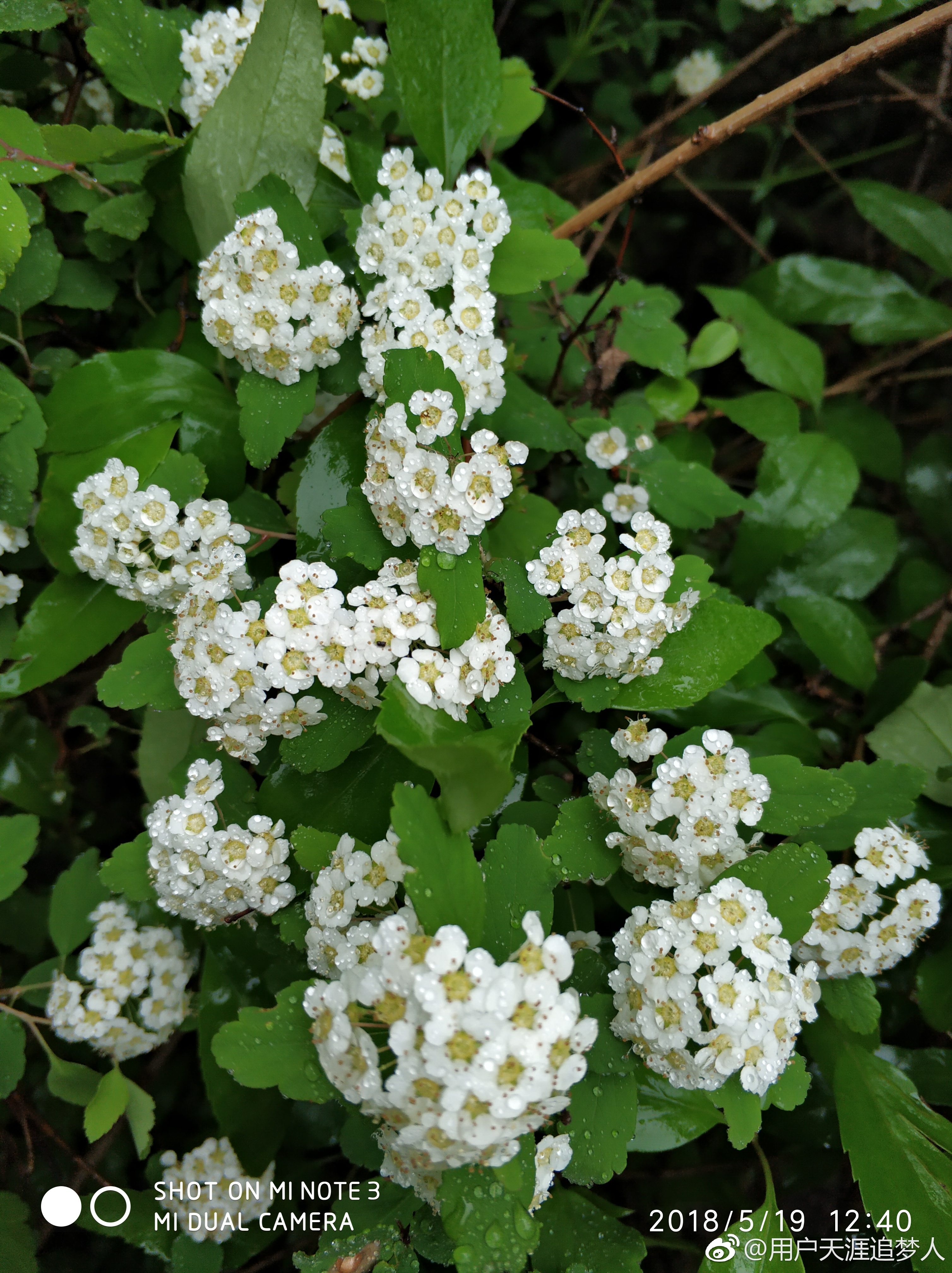 太行大峡谷步行旅游攻略,太行大峡谷最新旅游攻略