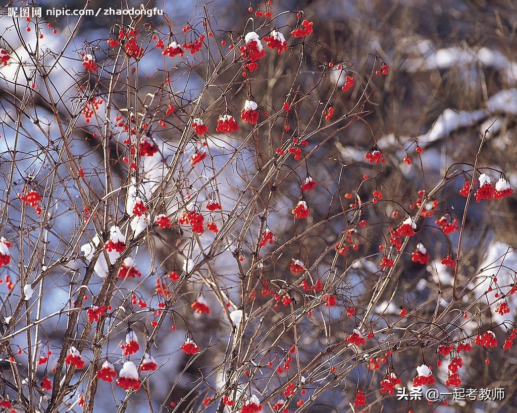 觉得老师教得不好你会怎么做,当学生认为老师差别对待该怎么做