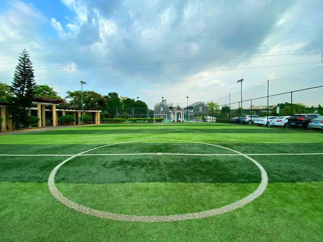 体验度假式甩肉,科学享瘦,7天秒变男神收割机