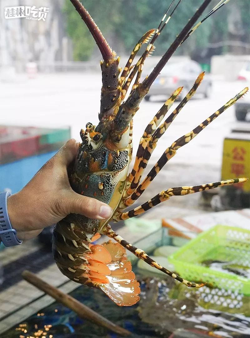 桂林市春节年货一条街,桂林有哪些年货市场