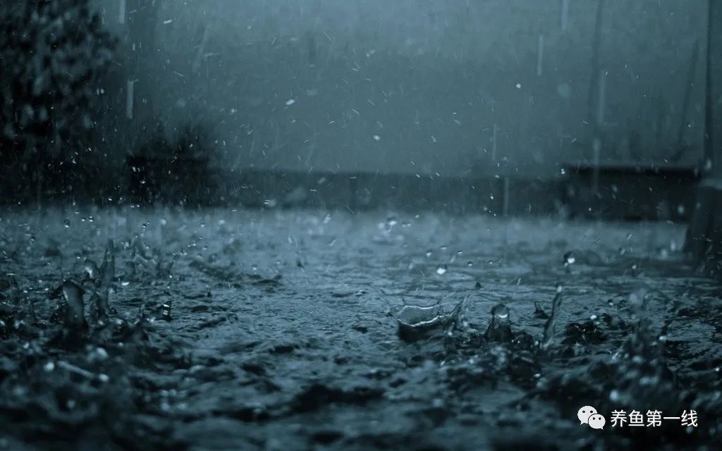 鱼儿什么时候容易缺氧窒息而翻塘,鱼类缺氧的表现