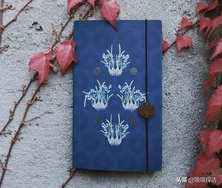 好嗨哟春节版,好嗨哟跨年晚会